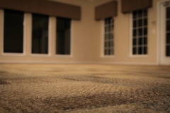 carpet 2