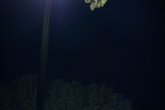 parking lot light