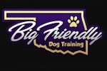 Big Friendly Dog Training