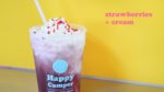 Happy Camper Handcrafted Sodas